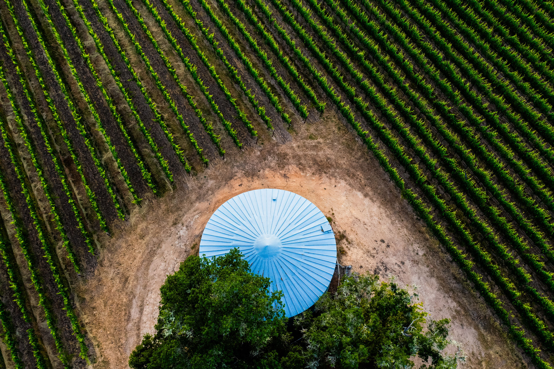 Aerial view of Lucky Well Vineyard water tank